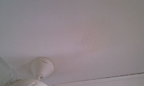 Living Room ceiling disfigured by leak (taken on 8 Aug 2010)